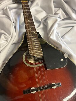 Mandolína - 2
