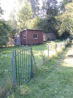 Pronajmu zahrádku s chatkou 16 m2 - 2