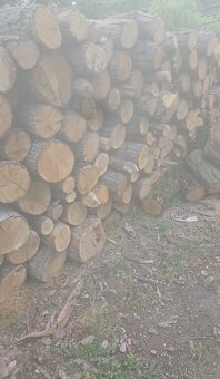 Tvrdé palivové dřevo - 2