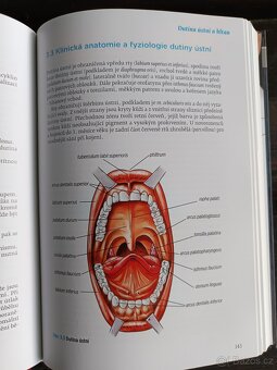 Dětská otorinolaryngologie - Ivo Šlapák - 2