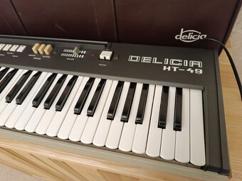 Delicia HT-49 - 2