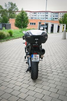 TRIUMPH Tiger 1050 Sport - 2