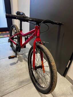 Dětské kolo Amulet Tomcat 20 - 2