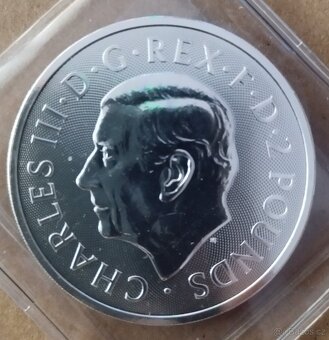 STŘÍBRNÉ INVESTIČNÍ MINCE RŮZNÉ MOTIVY - 2