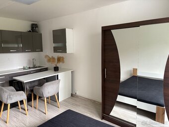 Pronajmu byt 1kk - 2