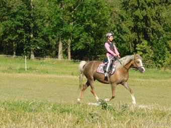 pony klisna - 2