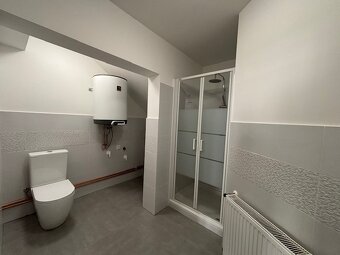 Byt 1+1 51m² Husitská, KRUPKA - 2