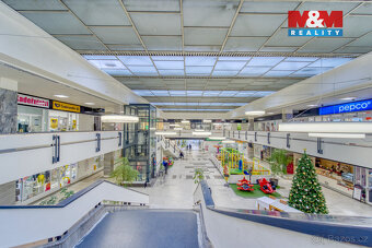 Pronájem obchod a služby, 100 m², Plzeň, ul. Skupova - 2