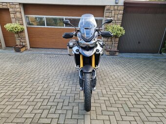 Triumph Tiger 900 Rally Pro 2024 DPH - 2
