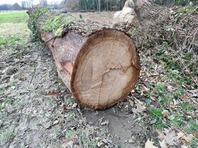 PRODÁM - DUBOVÁ KULATINA - 2