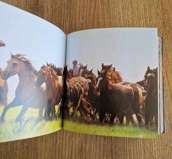 Horses (CubeBook, 2010) - 2