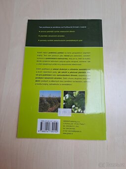 Plantáže dřevin - Miroslav Kravka - 2