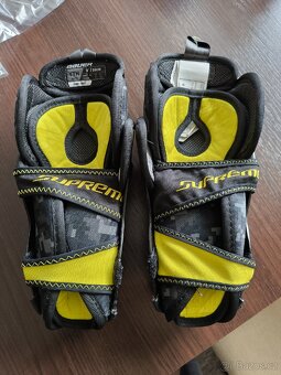 Bauer - 2