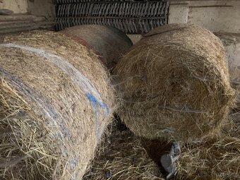 Seno,slama - 2