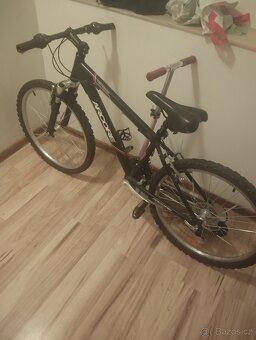 Juniorské horské kolo (24) - 2