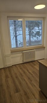 Pronájem 2+1 ul. Hornická, Tišnov - 2