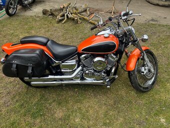 Yamaha  650 XVS Drag Star - 2