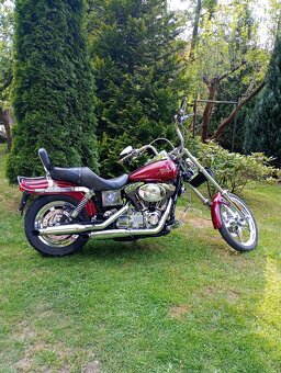 Harley Davidson DYNA WIDE GLIDE 1450 FXDWG - 2