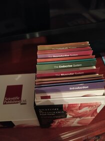Anatomy&Physiology Flash Cards - 2