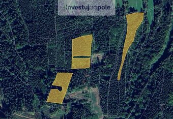 Prodej lesa 41 447 m², Janová, ev.č. 2025-07-03-2 - 2