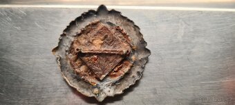 Odznak Die Wallberger (1889-1899) - 2