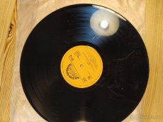 Lp vinyl Citron Vypusťte psi - 2