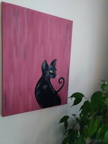 Kotě akryl 40x50 - 2