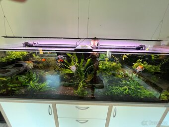 Akvarijní set - 2