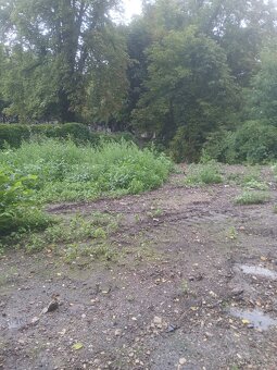 Zahrada Kladno - 2