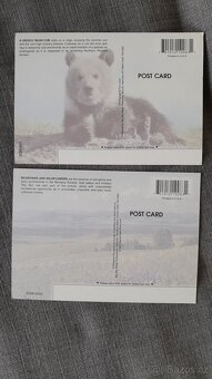 2 kusy amerických pohlednic - 2