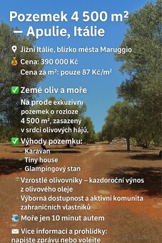 Pozemek 7km od moře Apulie - 2