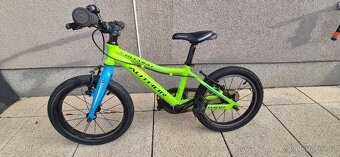 Author RECORD 16 - 2