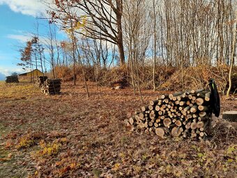 Lesnické práce - 2