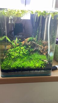 Dennerle nano cube 20l - 2