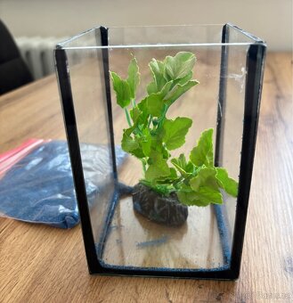 Akvárium mini pro rybičku Betta - 2