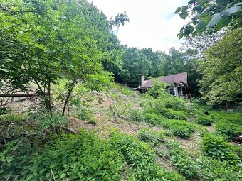 Zahrada 1.636 m2, Koštov-Trmice-Ústí n/L - 2