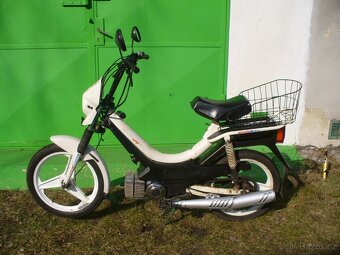 Manet Korado - 2