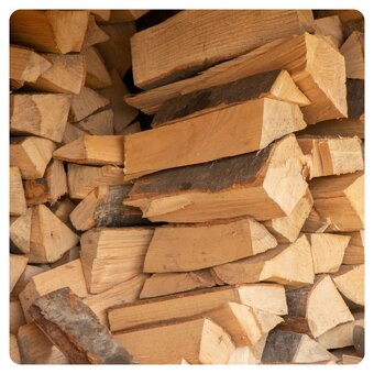 Prodej palivového dřeva - 2