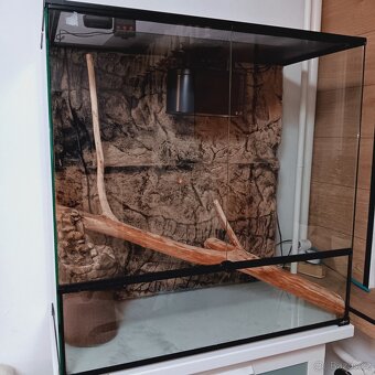 Terárium Repti Planet - 2