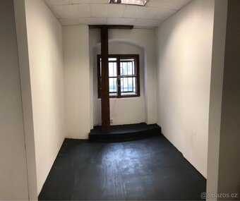 Nebytový prostor Karlín 100m - 2