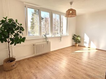 Pronájem bytu 3+kk, J.A. Komenského 290, Meziboří - 2