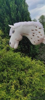 Hobby horse - 2