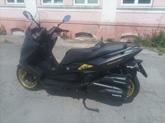 Maxon Discover 300 limited - 2