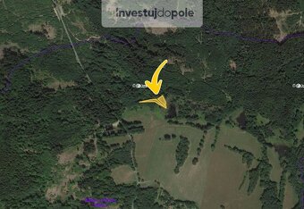 Prodej louky 1 766 m², Přimda - Málkov, ev.č. 2025-07-21-4 - 2