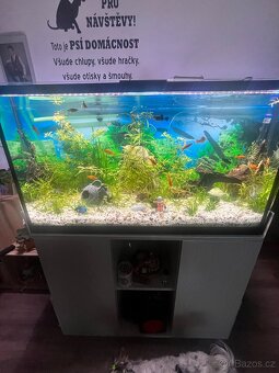 Prodám akvarium - 2