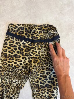 Siluet gepardi leginy S - 2