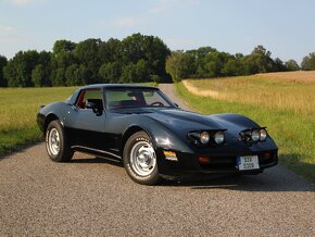 Chevrolet Corvette C3 1980 5.7L V8 - veteránské značky - 2