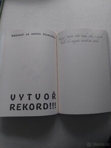Deník šíleného puberťáka - 2