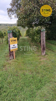 Prodej pozemků - vinohrad, 2286 m2, Čejkovice, 133578 - 2