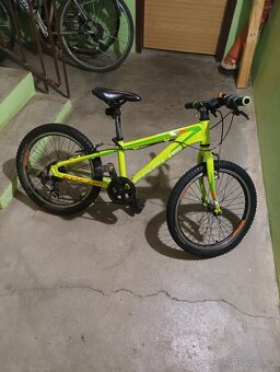 Prodám dětské kolo Focus raven 20 - 2